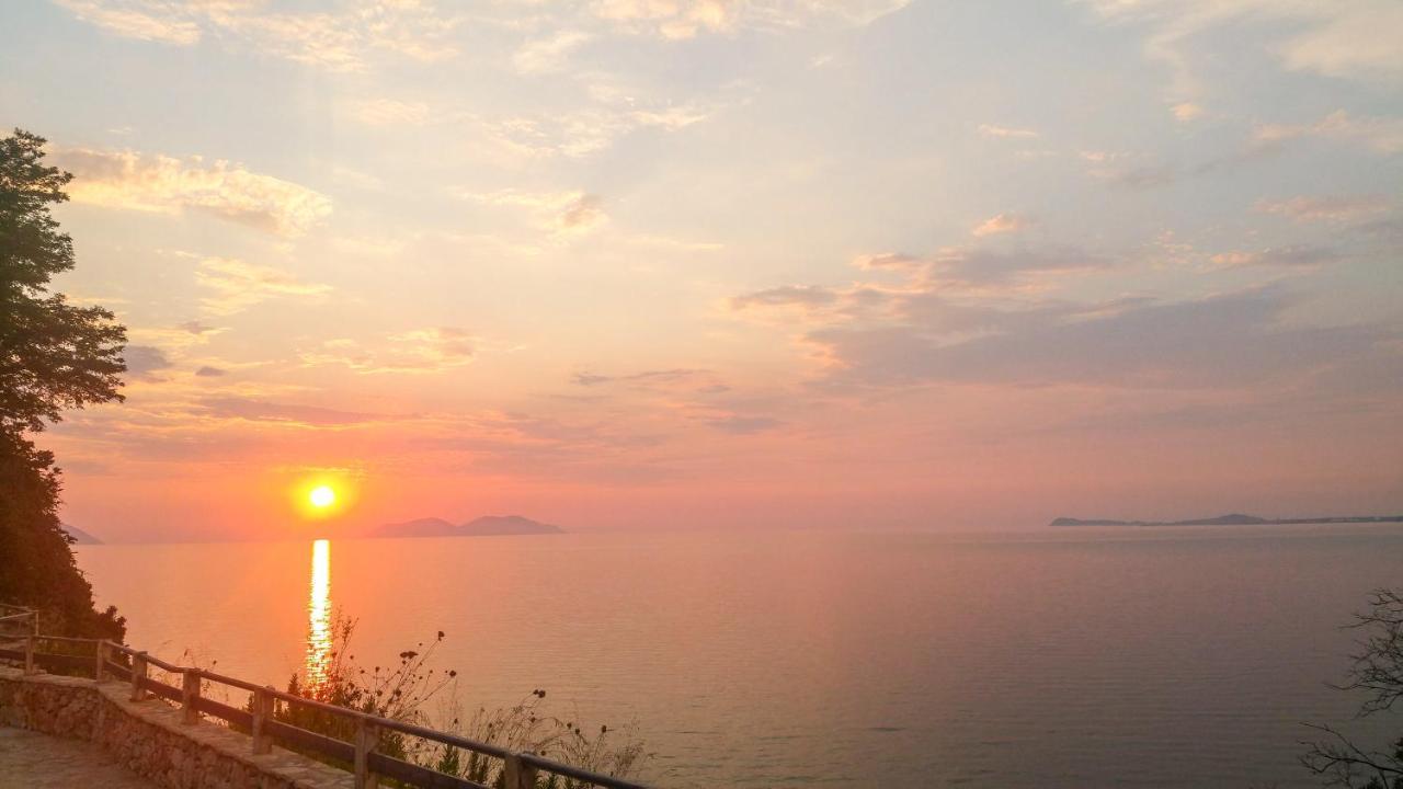 Aqua * Vlore
